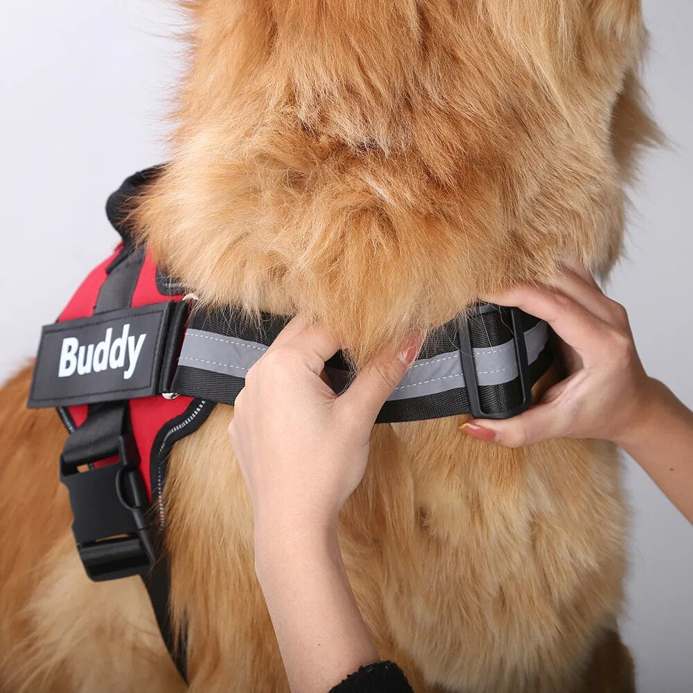 Personalized No-Pull Reflective Dog Harness